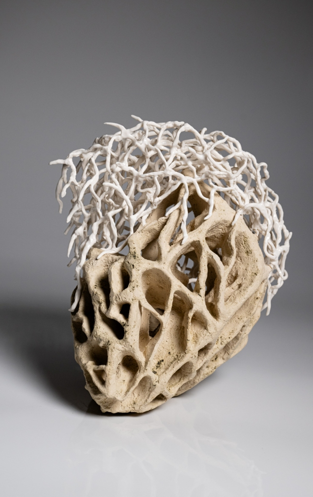 wichmann-hoppaufgebrochen4k