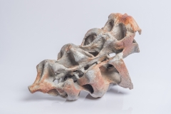 Fruchtskelett 5, Ton