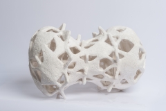 Radiolaria 2, Ton